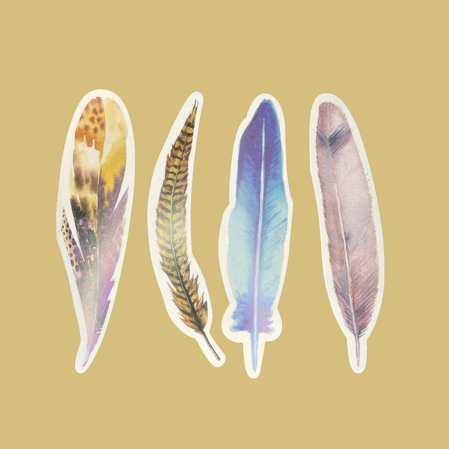 Signets (plumes)