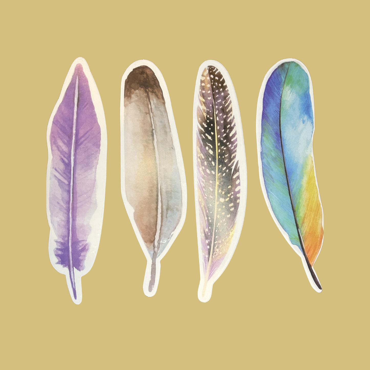Signets (plumes)